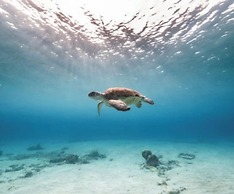 Brand New Immaculate 3-bed Villa in Grote Berg