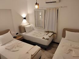 The Professor's Hotel