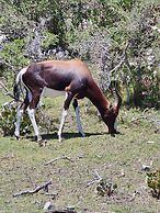Boulders Blue Bed and Breakfast