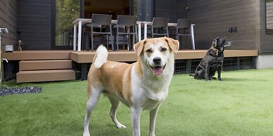 Rakuten STAY VILLA Nikko