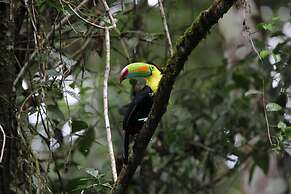 Serenity Hotel & Villas