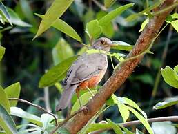 RECANTO DOS COMPADRES