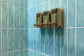 Holt - Birds of Paradise