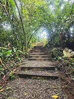 Cabañas Caeli Rainforest Glass Cabin La Perezosa La Fortuna