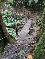 Cabañas Caeli Rainforest Glass Cabin La Perezosa La Fortuna
