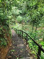 Cabañas Caeli Rainforest Glass Cabin La Perezosa La Fortuna
