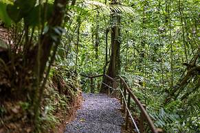 Cabañas Caeli Rainforest Glass Cabin La Perezosa La Fortuna
