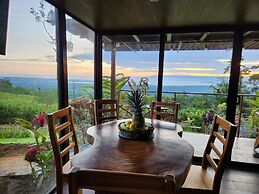 Cabañas Caeli Rainforest Glass Cabin La Perezosa La Fortuna