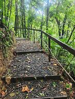 Cabañas Caeli Rainforest Glass Cabin La Perezosa La Fortuna