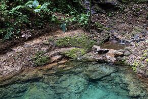 Cabañas Caeli Rainforest Glass Cabin La Perezosa La Fortuna