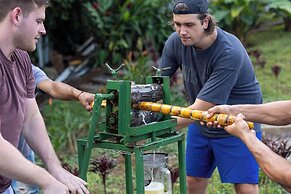 Cabañas Caeli Rainforest Glass Cabin La Perezosa La Fortuna