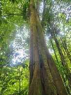 Cabañas Caeli Rainforest Glass Cabin La Perezosa La Fortuna