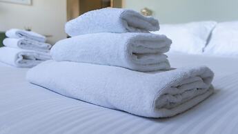 Riva Di Reno 76 in Bologna