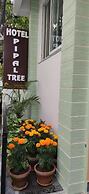 Hotel Pipal Tree