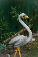 Wild Pensione Resort