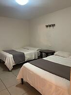 Yolotl Sleep Experience