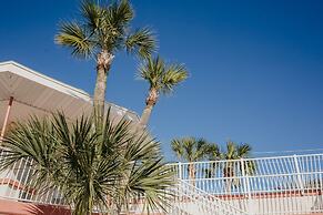 The Local - St. Augustine