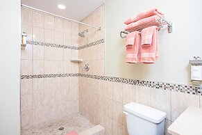 The Local - St. Augustine