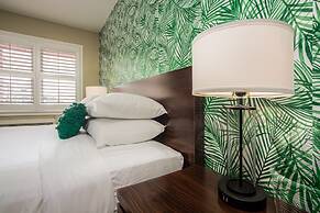 The Local - St. Augustine