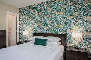 The Local - St. Augustine