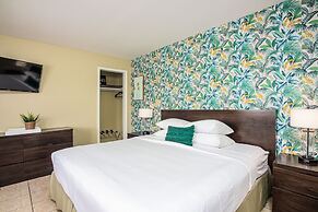 The Local - St. Augustine