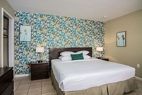 The Local - St. Augustine