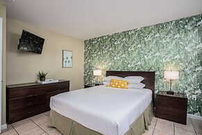 The Local - St. Augustine