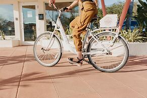 The Local - St. Augustine