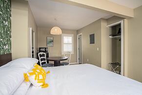 The Local - St. Augustine