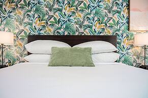 The Local - St. Augustine