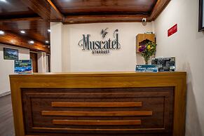 Muscatel Stardust - Chowrasta Mall Road