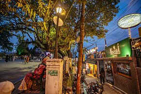 Muscatel Stardust - Chowrasta Mall Road