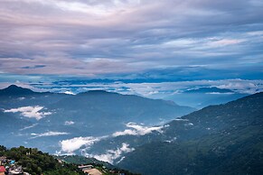 Muscatel Stardust - Chowrasta Mall Road