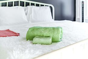 NEW Luxe Pet Friendly Free Parking Downtown