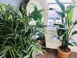 NEW Luxe Pet Friendly Free Parking Downtown