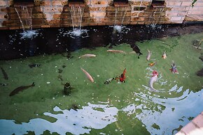 Recanto das Videiras - container