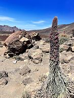 Casa Salvia Guesthouse Icod