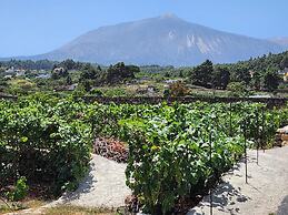 Casa Salvia Guesthouse Icod