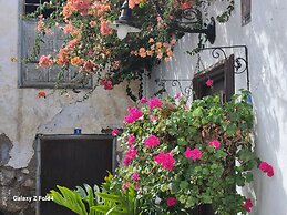 Casa Salvia Guesthouse Icod