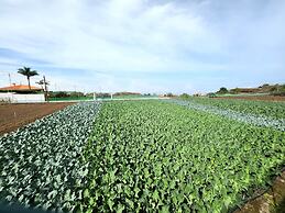 Casa Salvia Guesthouse Icod