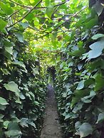 Casa Salvia Guesthouse Icod