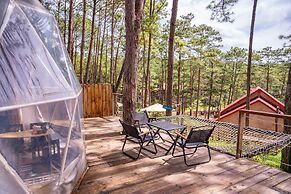 De Vivre Homestay Măng Đen