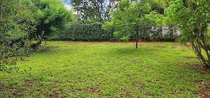 Lovely 3 bed in Mount Pleasant - 2153