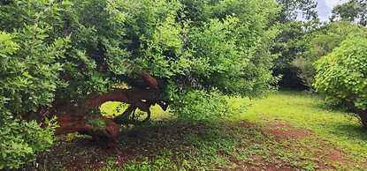 Lovely 3 bed in Mount Pleasant - 2153