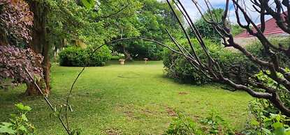 Lovely 3 bed in Mount Pleasant - 2153