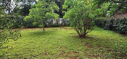 Lovely 3 bed in Mount Pleasant - 2153