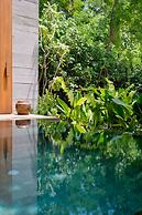 Cape Pakarang Wow Wild Wellness Escapes