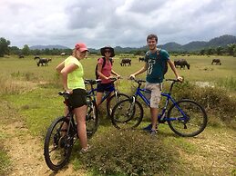 Cape Pakarang Wow Wild Wellness Escapes