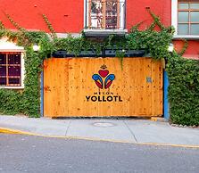 Mesón Yollotl