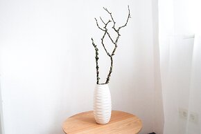 Gästehaus an der Moseltherme